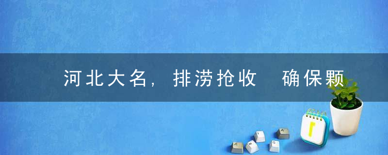 河北大名,排涝抢收 确保颗粒归仓